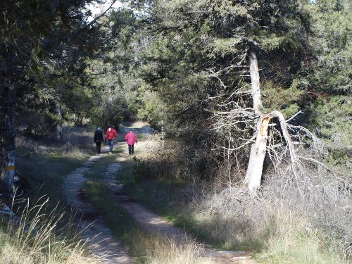 Ruta de senderismo por la Sierra de Cabrejas