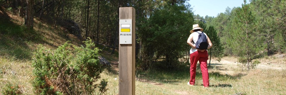 Walking in the Rio Lobos Canyon, Soria