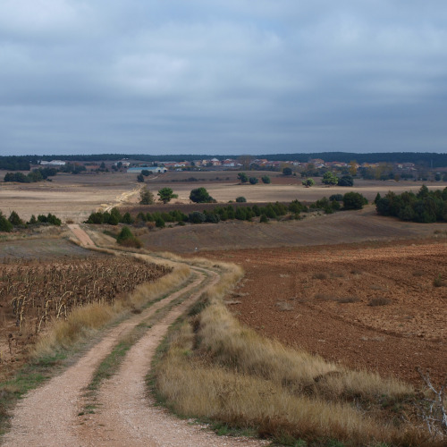 senda del castillo de gormaz, vista hacia quintanas de gormaz