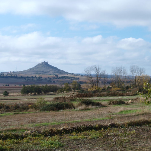 senda del castillo de gormaz, huertos y castillo de gormaz