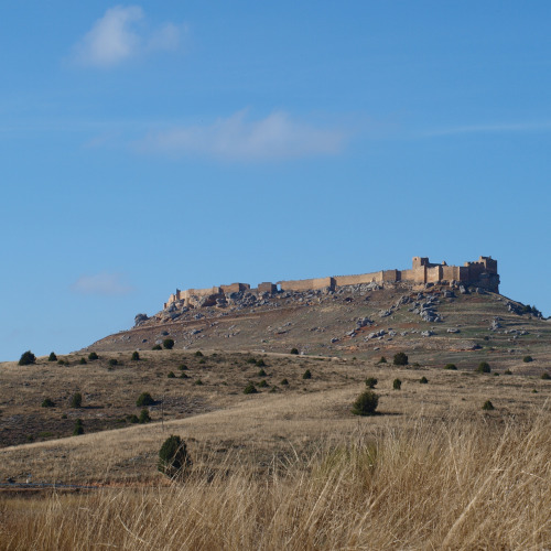 senda del castillo de gormaz, fortaleza califal de gormaz