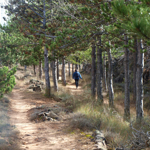 senda de la hoz del abión, camino de arena