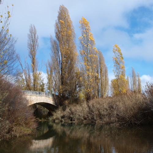 senda de la hoz del abión, puente de la tejeda, río abión