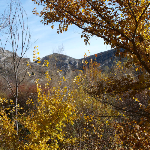 senda de la hoz del abión, hoz del río abión en otoño