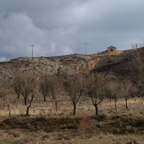 senda de la hoz del abión, almendros y ermita de la magdalena