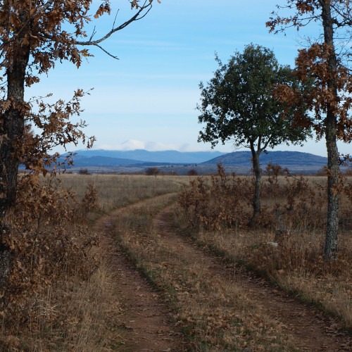 senda de la casa de la ciudad valonsadero, paisaje de valonsadero