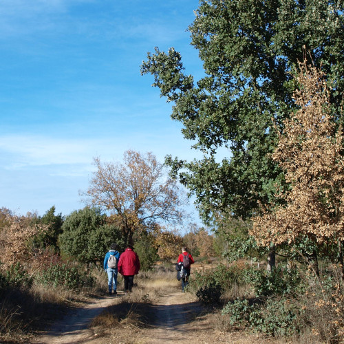 senda de la cerrada, corral de las charcas