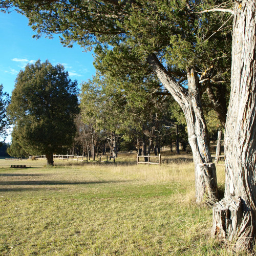 senda de la cerrada, sabinas de la cerrada