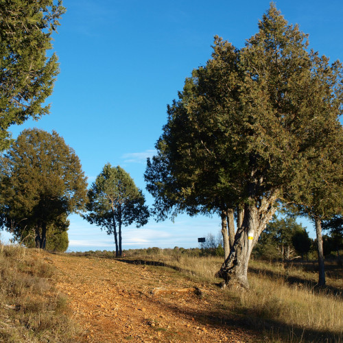 senda de la cerrada, sabinas y tierra roja