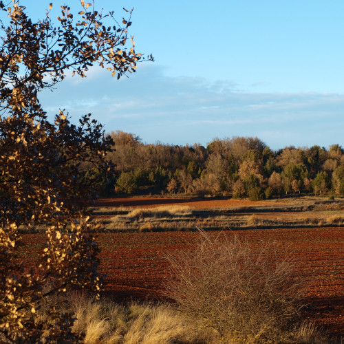 senda de la cerrada, campos recién arados