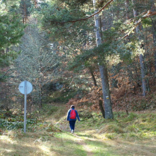 ruta de los puentes covaleda, señales PR-SO 75