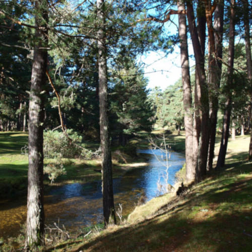 ruta de los puentes covaleda, río duero