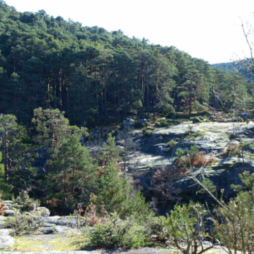 ruta de los puentes covaleda, los apretaderos