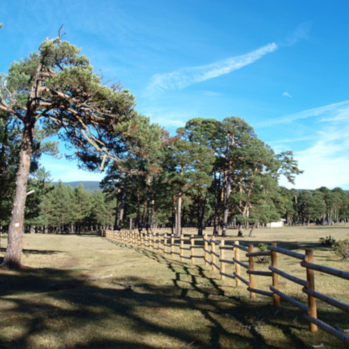 ruta de los puentes covaleda, campamento raso de la nava