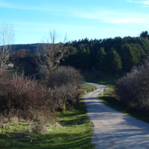 ruta de los puentes covaleda, camino asfaltado